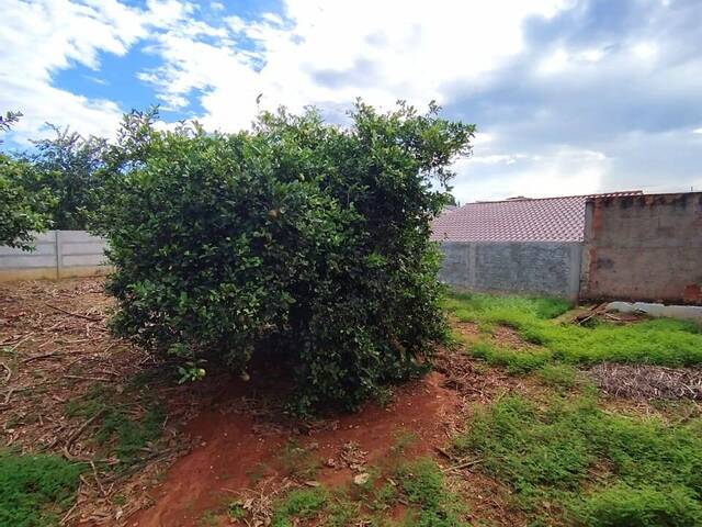 Área para Venda em Araxá - 4